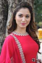 Tamannah at Bengal Tiger Movie Press Meet
